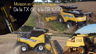 MOISSON 2022 EN CENTRE BRETAGNE🤩DE LA TX 66 À LA CR 10.90 | ETS TOUBOULIC