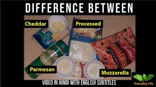 Difference b/w Mozzarella, Processed, Cheddar \u0026 Parmesan Cheese | चीज़ के प्रकार  | Everyday LIfe #47