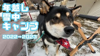 【キャンプ】柴犬と行く年越し雪中キャンプ　#キャンプ #柴犬 #犬