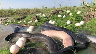 A Master Fisherman Shares His Best Fishing Skill for Catching Fish and Duck Eggs