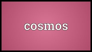 Cosmos Meaning