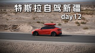 【VLOG】情侣开特斯拉穿越无人区 自驾新疆day12