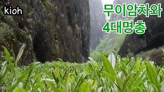 차문화 이야기 : 무이암차와 4대 명총 이야기