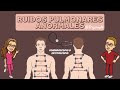 Ruidos pulmonares anormales (Sibilancias, crepitos, estertores, estridores, rocus)