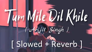 Tum Mile Dil Khile - [ Slowed + Reverb ] , - Arijit Singh