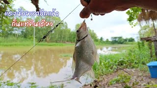 ตกปลาหน้าดิน แม่น้ำสงคราม ทดลองน้ำแดง กินแต่คันเดียว / ตุ้มแพรว พาเพลิน EP.504