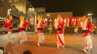 成増阿波踊り大会2024「しのぶ蓮」 Japan Walk 4K 2024.08.01