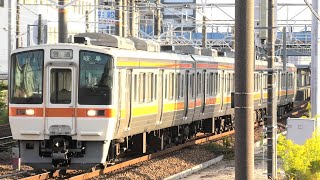 311系G4編成 普通岐阜行き 共和駅～南大高駅間通過