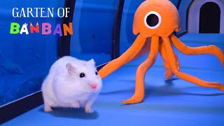 Stinger Flynn Vs Hamsterious (Episode 1) In Garten Of Banban | Hamster Escape Challenges