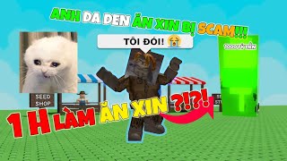 Vdarh | MÌNH TRỞ THÀNH ĂN XIN TRONG GROW A GARDEN🧔🏿