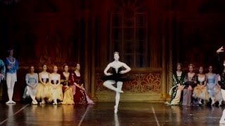 Joy Womack Swan Lake Fouettes