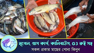 মৃগেল, গ্রাস কার্প, কালিবাউস, G3 রুই মাছ সহ সকল প্রকার মাছের পোনা কিনুন - আস্থা মৎস্য হ্যাচারি থেকে