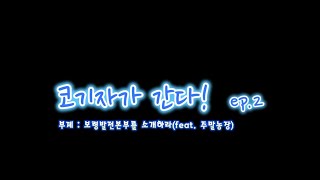 Ep.2 코기자가 간다! 🏃보령발전본부를 소개하라 (feat. 주말농장)