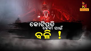 କୋଟିପତି ହେବା ପାଇଁ ବଳି ! ବିଜ୍ଞାନର ଅଗ୍ରଗତି ପରେ ବି କାହିଁକି ଏଭଳି ମାନସିକତା , ଜାଣନ୍ତୁ ........