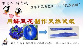 三年级 KSSR Semakan 科学 单元八 酸与碱【制作 蝶豆花 试纸进行物质测试】