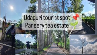 Udalguri tourist spot | Paneery Tea Estate 🌱|| #udalguri Bodoland || @PromitiBoro