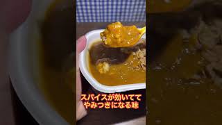 【吉野家】肉だく牛魯珈カレー食べてみた