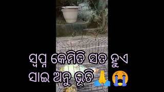 ସ୍ବପ୍ନ କେମିତି ବାସ୍ତବ ରେ ପରିଣତ ହୁଏ ବାବା ଙ୍କ ଅନୁଭୂତି// Mora kichhi anubhuti // Sai DeBa 😭🙏❤️🌹