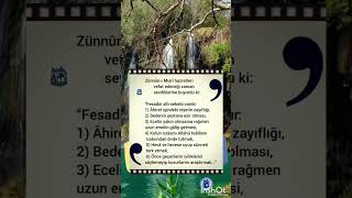 Zünnûn-i Mısrî (k.s) Fesadın Altı Sevebi #serhendi #shortsvideo #dinisözler #özlüsözler #keşfet