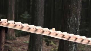 NTT Docomo Touch Wood- Forest Xylophone - Ads of the World™ Best Film