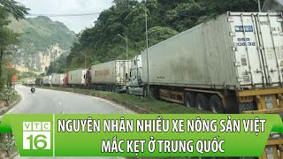 Nguyên nhân nhiều xe nông sản Việt mắc kẹt ở Trung Quốc | VTC16