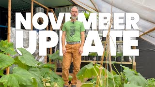 November Update: Greenhouse FAIL, Chickens and Rabbits Oh My!