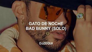 Gato De Noche - Bad Bunny (Solo) Lyrics/Letra