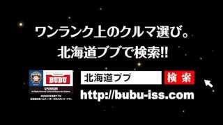 Hokkaido BUBU 30th Anniversary Fair 輸入車商談会