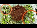 gongura puvvula pachadi గోంగూర పువ్వుల పచ్చడి