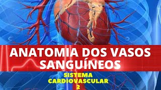 ANATOMIA DOS VASOS SANGUÍNEOS - SISTEMA CARDIOVASCULAR 2