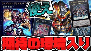 【遊戯王】環境レベルで大注目!? ライゼオルを徹底解説！ 『ライゼオル・デッドネーダー』【ゆっくり解説】