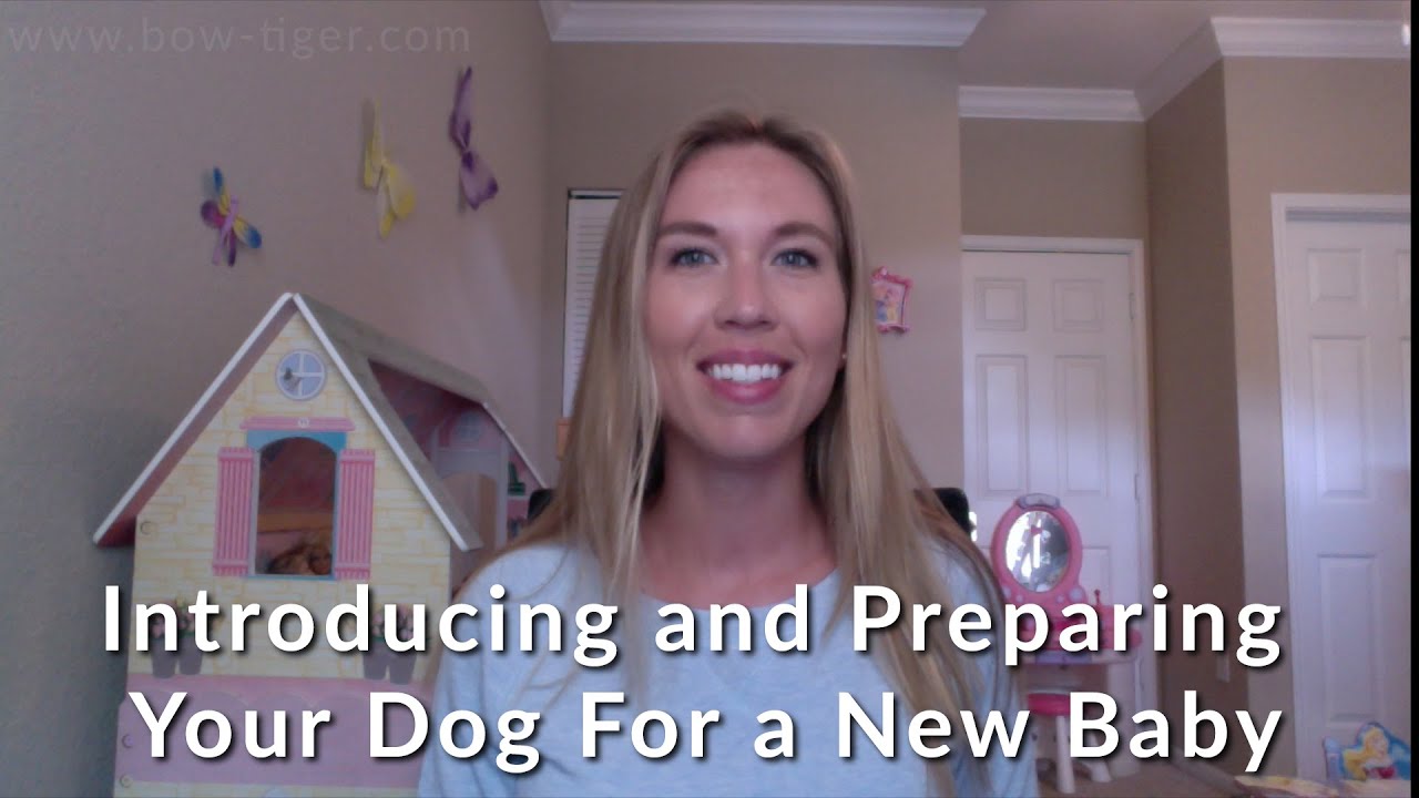 Introducing And Preparing Your Dog For A New Baby - YouTube