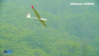 2000mm ASW 28 Glider from Top RC Hobby