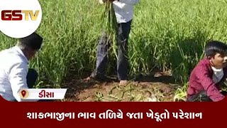 Deesa : શાકભાજીના ભાવ તળિયે જતા ખેડૂતો પરેશાન | Gstv Gujarati News