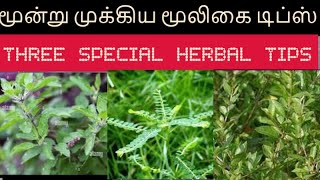 மூன்று முக்கிய மூலிகை டிப்ஸ் ,Three Special Herbal Tips.