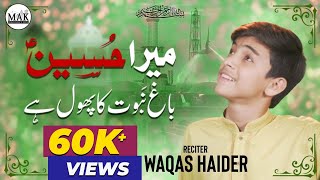 Mera Hussain Baghe Nabuwat Ka Phool | Manqabat by Waqas Haider | MAK Production