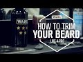 WAHL CANADA CONSUMER - HOW TO TRIM LIKE A PRO | With Luca  from Fratelli's Salon