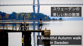 北欧風景 スウェーデンの美しい秋の散策 (A Beautiful Autumn walk in Sweden)