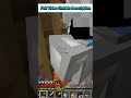 Piglins can actually Open Doors in Minecraft | Modish Gamer | #shorts