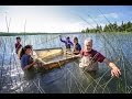 CMU researchers continue to lead efforts to protect and restore Great Lakes coastal wetlands