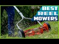 Best Reel Mowers in 2023 - You Can Buy