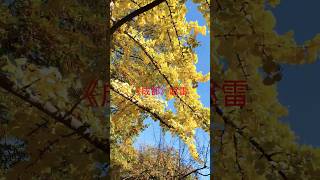 赵雷唱的《成都》 #随手拍 #记录生活 #流行歌曲