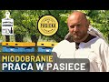 Miodobranie. Praca w pasiece. Które ramki można zabrać, a które zostawić?