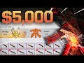 i bet 5 M4A4 HOWLS on Vitality vs Fnatic! (CS:GO BETTING REACTION)