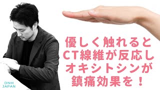 タッチケアの原理原則！優しく触れるとCT線維が反応してオキシトシンが出て鎮痛効果を生み出す！DNM JAPAN Shin Iwayoshi