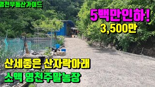 5백만인하된~산세좋은 산자락아래 텃밭넓고 닭장까지 설치된 소액주말농장급매 (119평)3,500만[매물번호834]/영천부동산가이드/영천부동산