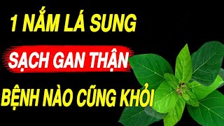 BS MÁCH BẠN: TUỔI GIÀ Cứ \