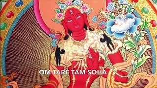 Red Tara Mantra 紅度母心咒 1 hour Compassion, love, relationship   Om tare tam soha（relaxing ver 輕快版）