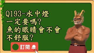 【龍爵士】千問千答 Q193 水中燈一定要嗎魚的眼睛會不會不舒服