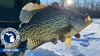 Ice Fishing for Trout and Panfish, Trout Recipe; Michigan Out of Doors TV #2508